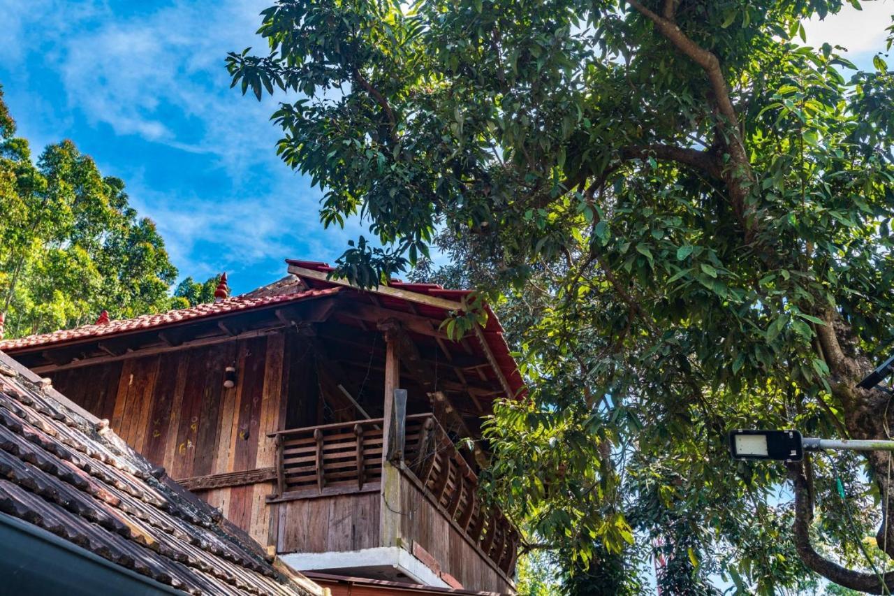 Castillo De Woods , The Private Luxury Villa , 8 Bhk, Vattavada Kottakamboor Zewnętrze zdjęcie
